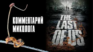 The Last of Us. Комментарий миколога. Михаил Вишневский