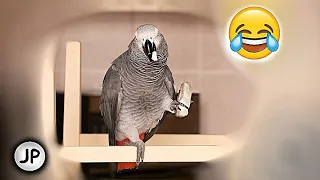 ✅ - ДАЙ САЛО ЖМОТ!🤣ПОЧЕМУ ПТИЦЫ ЗИМОЙ ЛЮБЯТ ТАК СИЛЬНО САЛО?🐦ЛУЧШИЕ МОМЕНТЫ ОДНОГО ДНЯ ЖАКО ПЕТРУНИ