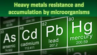 Bioremediation of heavy metals by microorganisms (Bioaccumulation & Biosorption)