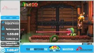 #SRC2014 Donkey Kong Tropical Freeze by SpikeVegeta (Any%)