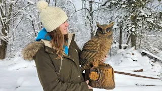 Owl Chainsaw Carving and Feather Details