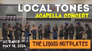 2024 UCD Local Tones - The Liquid Hotplates