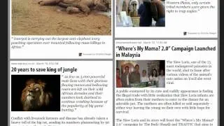 Wildlife Trafficking: Who Does it? Who Allows it? Nikela News 03-29-12