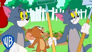 Tom et Jerry en Français | Tom rentre à la maison | WBKids