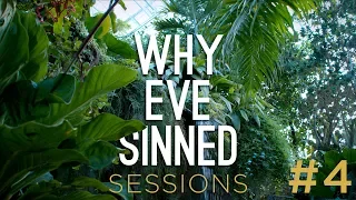 Why Eve Sinned || Session 4 || David Bowden