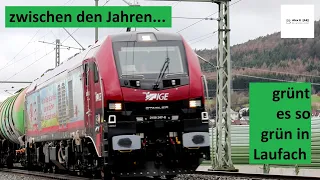 zwischen den Jahren grünt es so grün in Laufach  |  Alex E