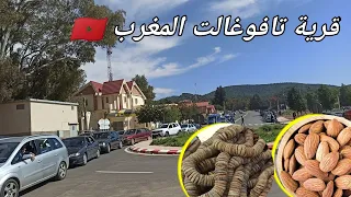 جولة في قرية تافوغالت هذا الصباح tafoughalt aujourd'hui