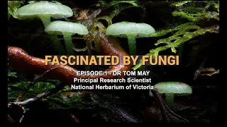 Fascinated by Fungi - Dr Tom May