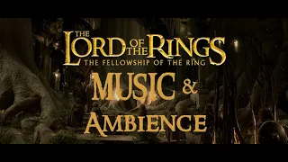 The Lord of the Rings - Caras Galadhon (Lothlórien) | Music & Ambience