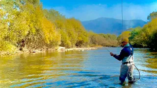 Stunning Autumn Fly Fishing for Brown Trout