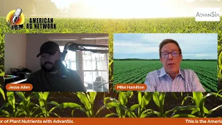 Ammonium Sulfate on Soybeans? We Have the Answers!