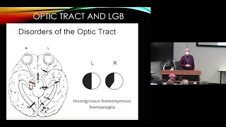 The Neurologic Examination, Part 2