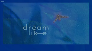 [Vietsub + Lyrics] Dream Like Me - Lư Quảng Trọng (Crowd Lu), The Black Skirts