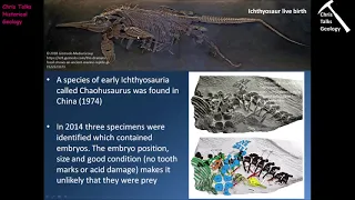 Mesozoic Life History (Part 2) - Part 2