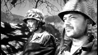 Men in War (1957) - The colonel
