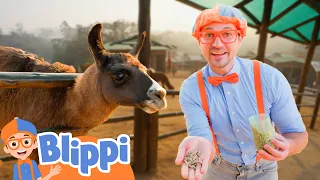 Blippi Goes To The PET ZOO |  Blippi | Challenges and Games for Kids