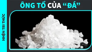 COCAIN từng có trong Coca-Cola??? | Absolutely | KHOA HỌC