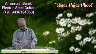 Aamar Pujar Phool | Kishore Kumar | Instrumental (Electric Steel Guitar) Cover | Amarnath Banik.