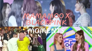 MAMAMOO (마마무) x Girlgroups Edition: BLACKPINK (블랙핑크)