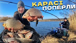 ⚠️ТУТ ТОННИ РИБИ‼️ Карасі МОНСТРИ клюють з першого закиду🔥Весняна ФІДЕРНА Рибалка 2024🎣