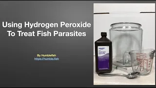 Hydrogen Peroxide To Treat Fish Parasites