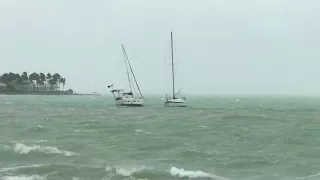 Drifting yachts