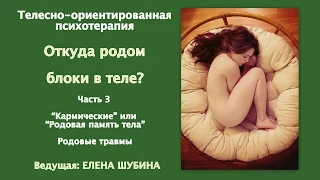 "Откуда родом блоки в теле?" Лекция Елены Шубиной.