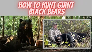 How to hunt giant black bears | with Jesse Koskiniemi