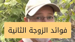 فوائد الزواج الثاني : قصص وتجارب حقيقية