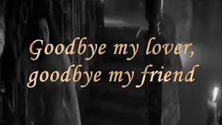 Goodbye my lover-James Blunt