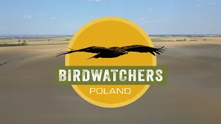 Birdwatchers Poland documentary