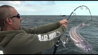 Shocking Fishing Moments Caught On Camera!