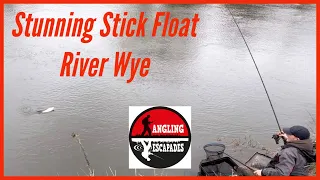 Stunning Stick Float Fishing for Roach on The River Wye