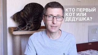 Почему кота пускают первым в дом? | Стоит ли запускать кота первым в новую квартиру? | Моя версия