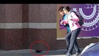 SPIDER PRANK: Pegadinha da Aranha 🕷🕷🕷