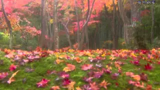 秋 - Autumn | Original Piano music 原創鋼琴曲 | 夜色钢琴曲 Yese Piano【趙海洋钢琴曲】