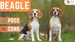 Beagle: Pros and Cons Every Potential Owner Should Know