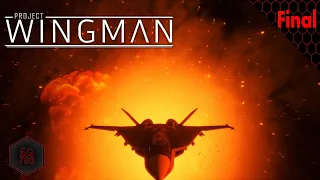 Project Wingman - Mission 20 + Final Boss【No Commentary】