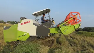 New Harvester | CLAAS Crop Tiger 30 Amazing Performance | Price Specifications | Mighty Automotives