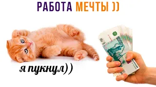 КЕМ ТЫ ХОЧЕШЬ РАБОТАТЬ? ))) | Приколы с котами | Мемозг 1316