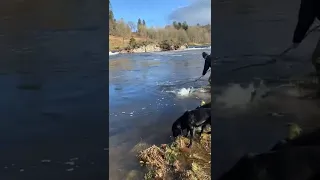 River tay linn pool feb 2022