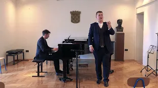 Don Giovanni: Deh vieni alla finestra | Stipan Režić