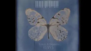 Tomm- REVES ft Vandebo | COVER BY DIIMAA🦋