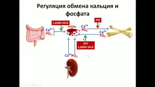 Нарушения обмена кальция Полупан А.А.