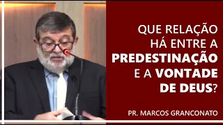 Que relação há entre a predestinação e a vontade de Deus? - Pr. Marcos Granconato