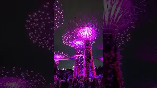 Gardens by the Bay lights show in Singapore #singapore #gardensbythebay #supertreegrove