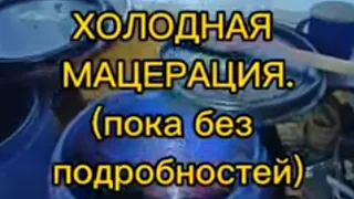 ДОМАШНЕЕ ВИНОДЕЛИЕ. ХОЛОДНАЯ МАЦЕРАЦИЯ И КРИОСТАБИЛИЗАЦИЯ.