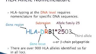 DNA based tissue typing