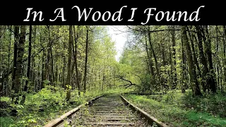 In a Wood I Found - an original song by Andy & Judy