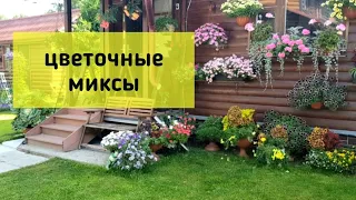 Цветы и цветочные миксы в августе/ Какие композиции самые стойкие [ Цветочные композиции в саду]